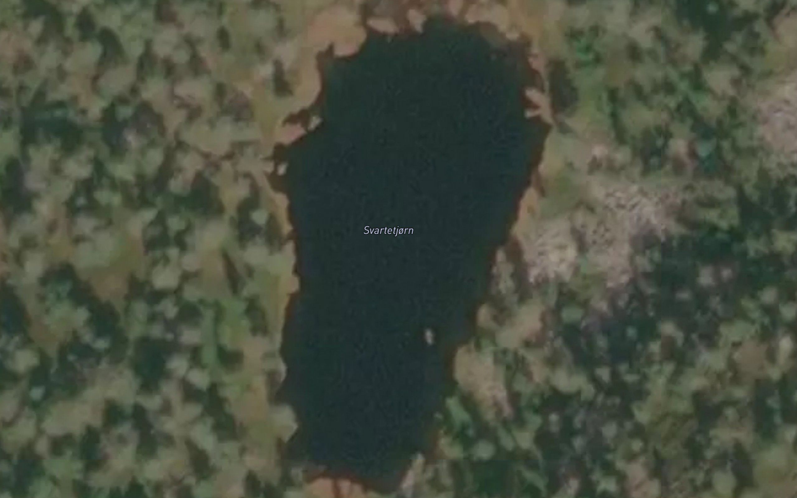 Svartetjorn