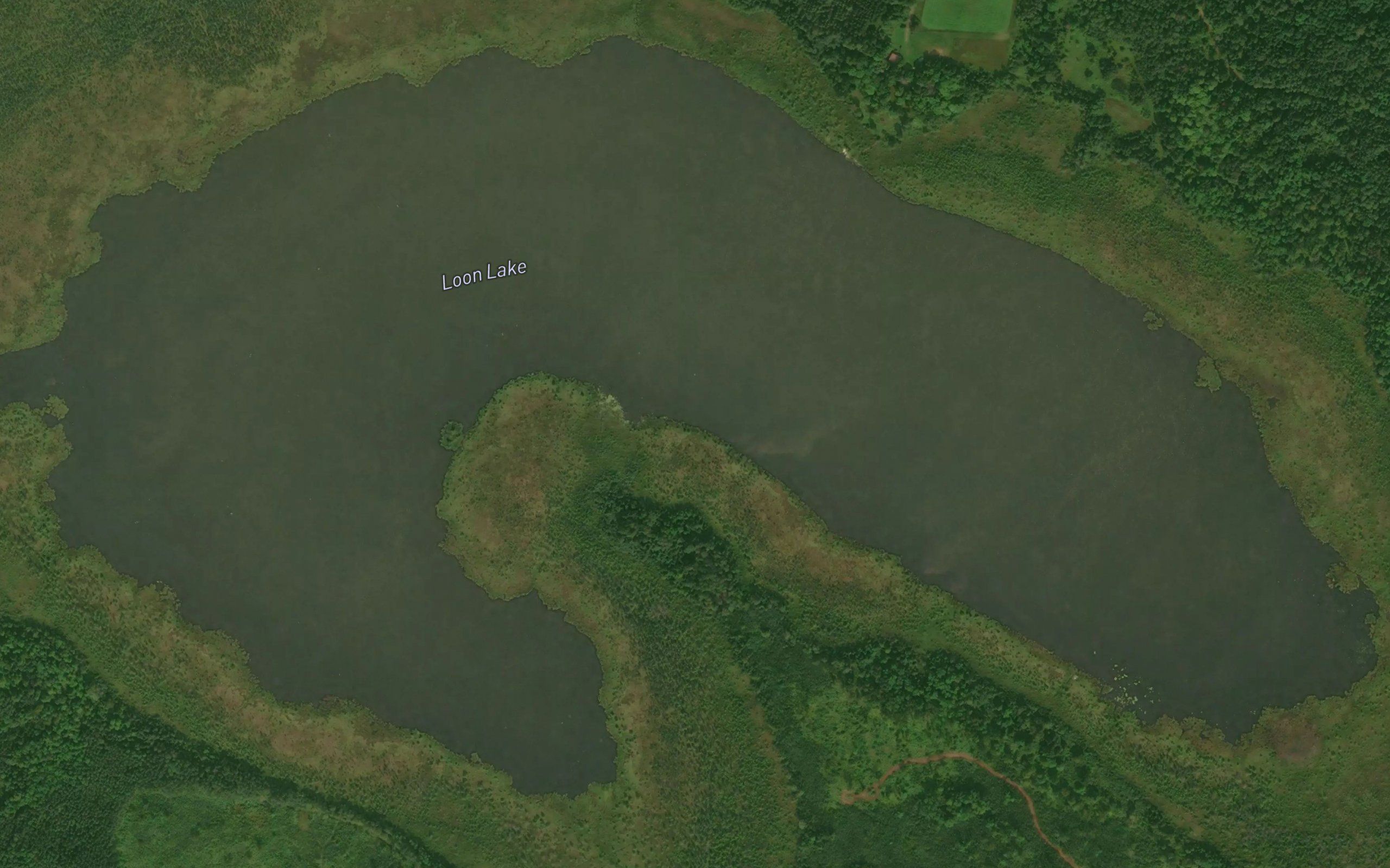 Loon Lake
