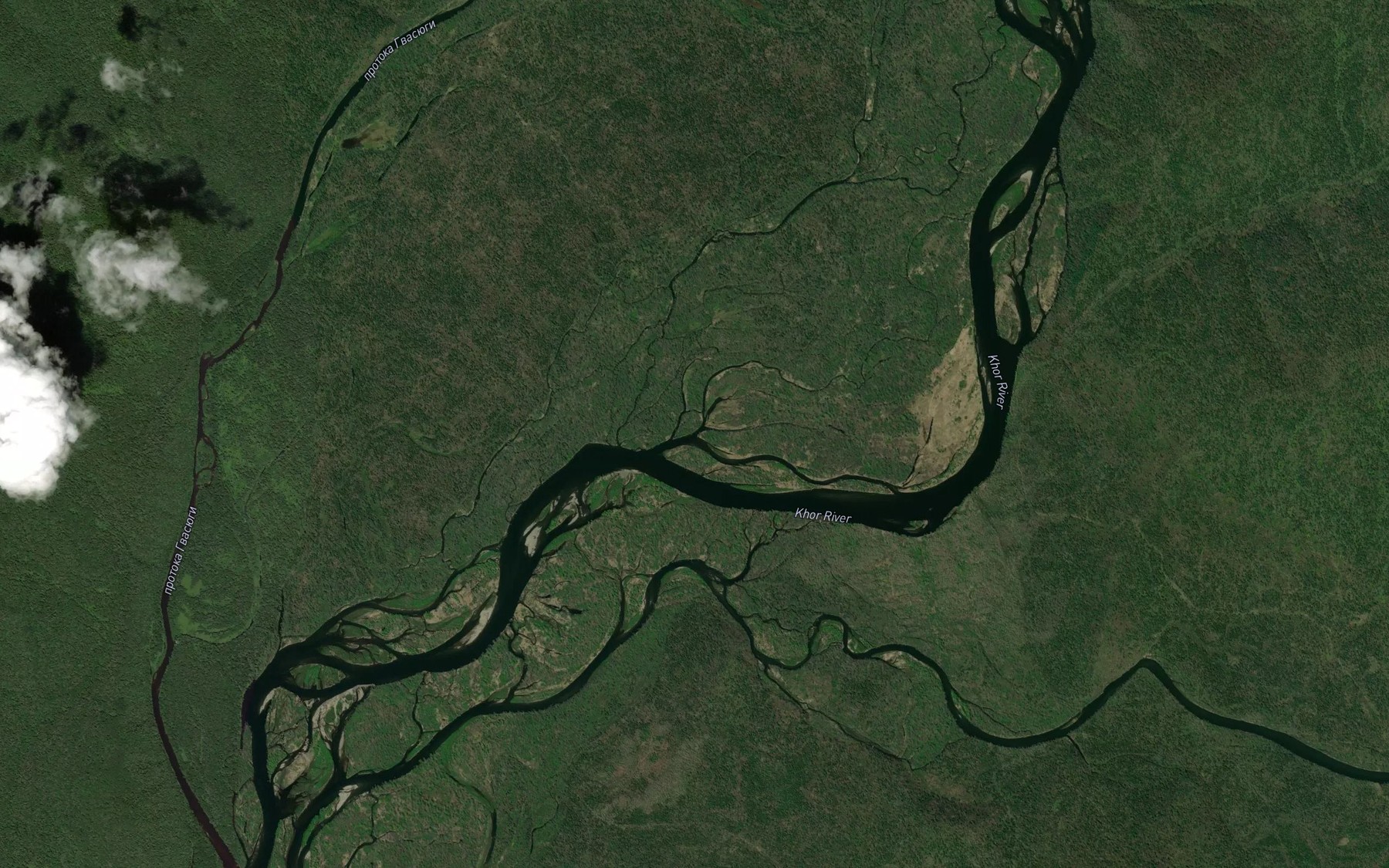 Satellite map of the Protoka Rybnaya