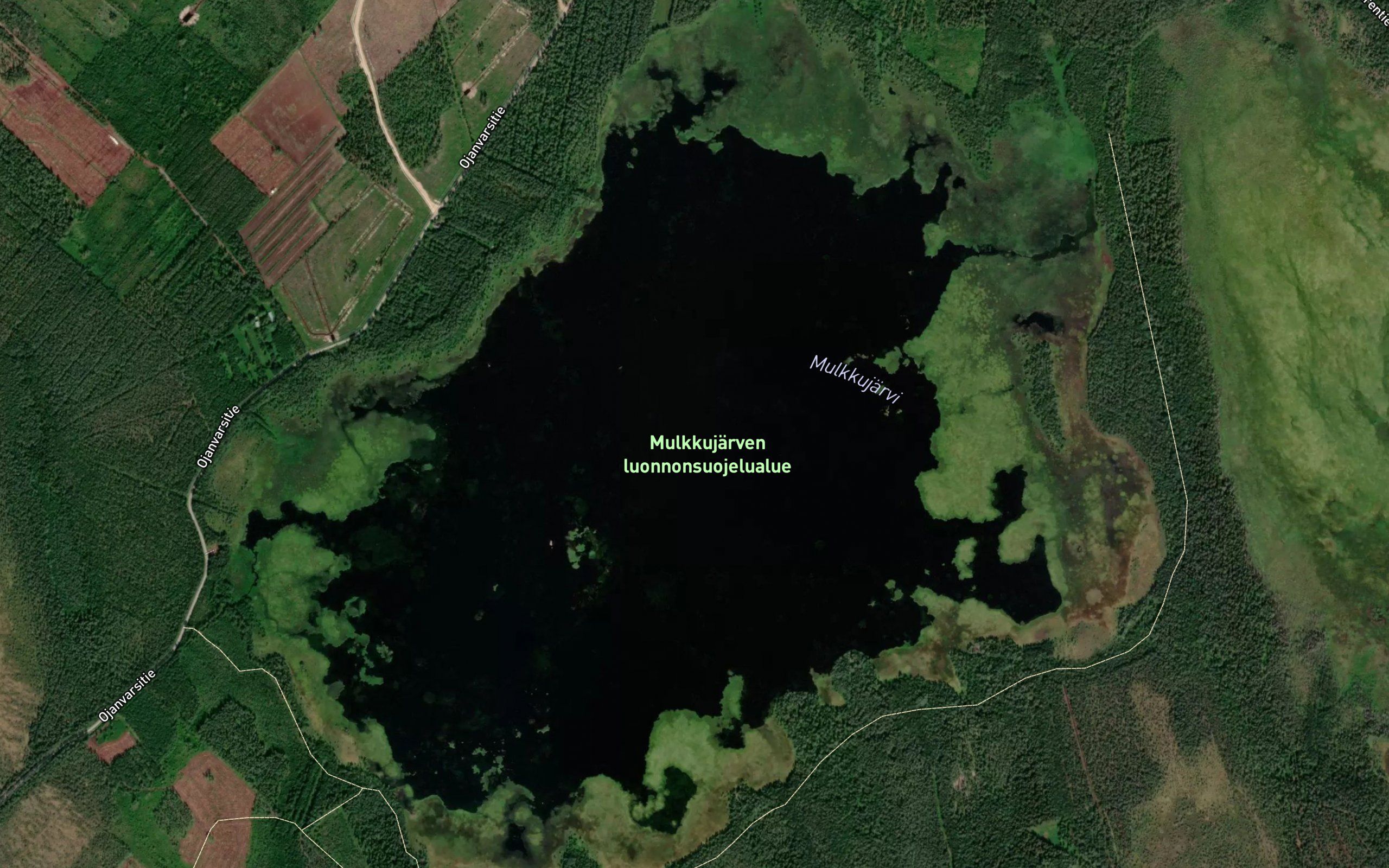 Mulkkujarvi