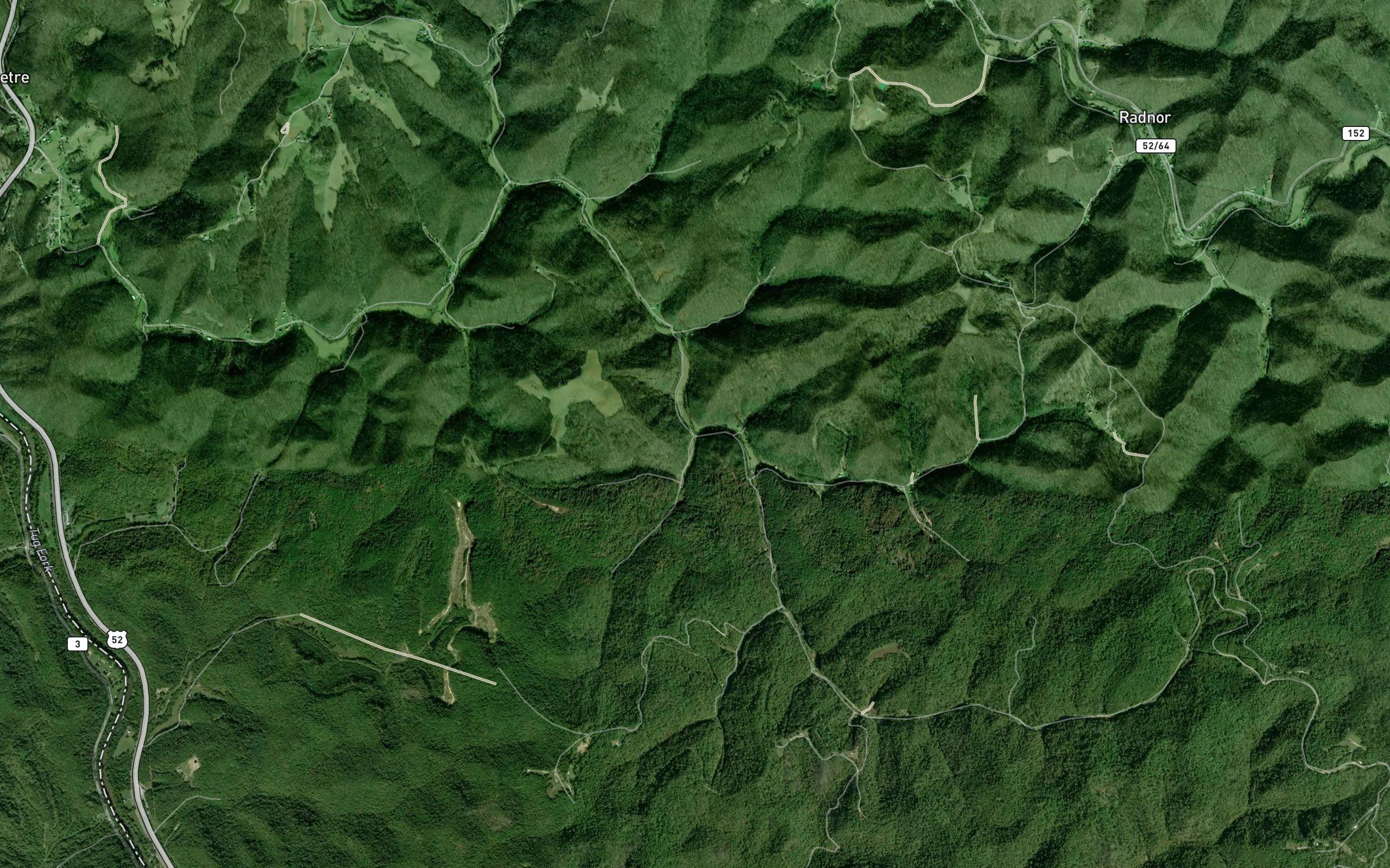 Flat Branch