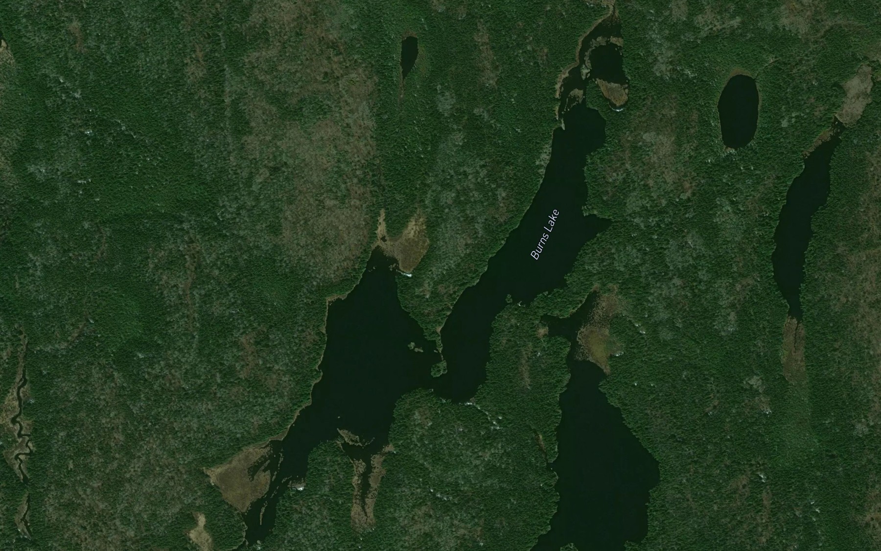 Satellite map of the Burns Lake