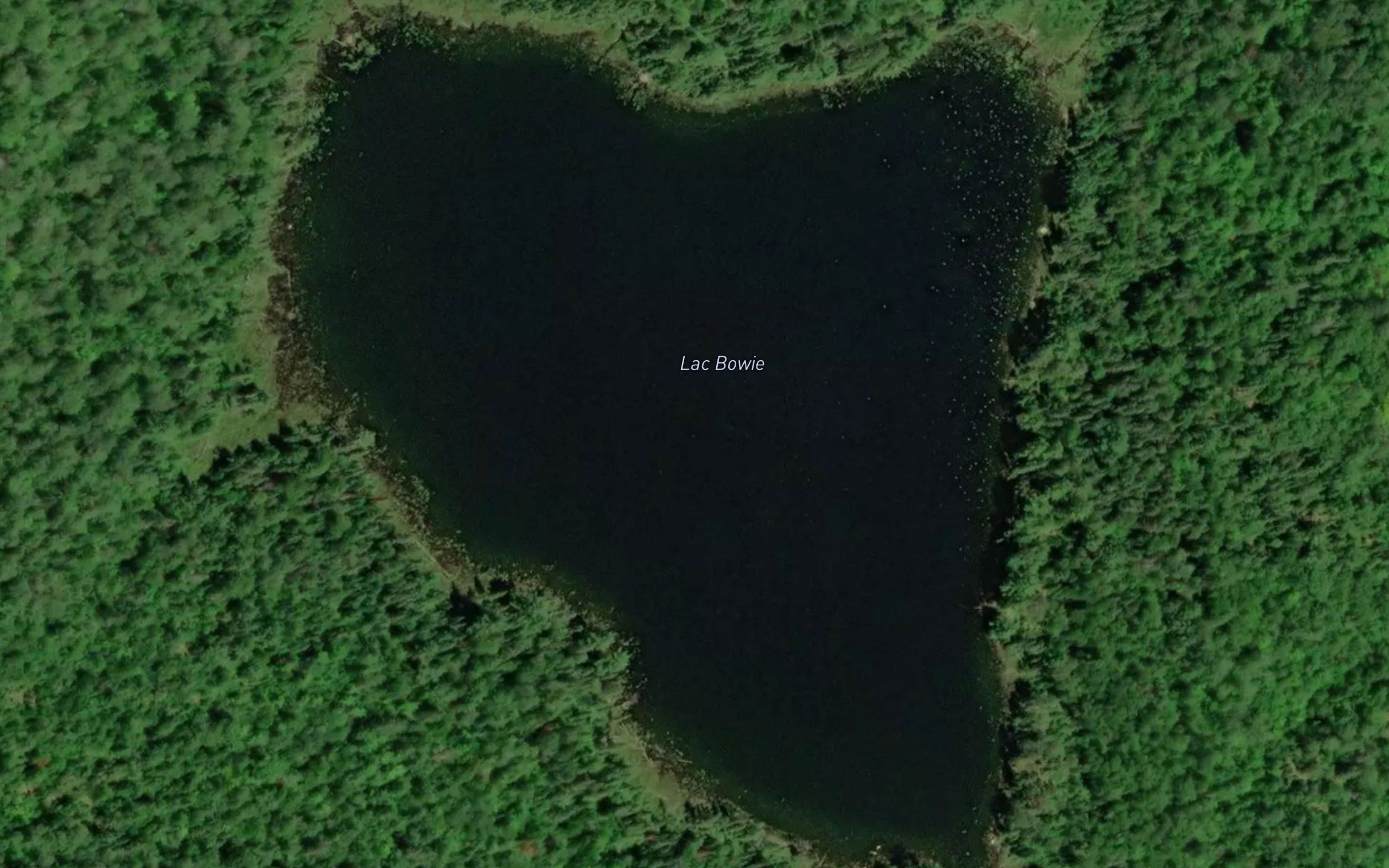 Lac Bowie
