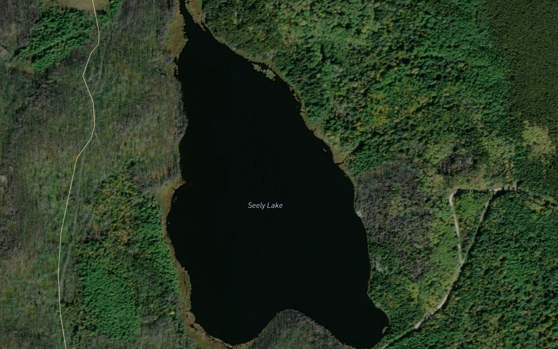 Satellite map of the Seely Lake
