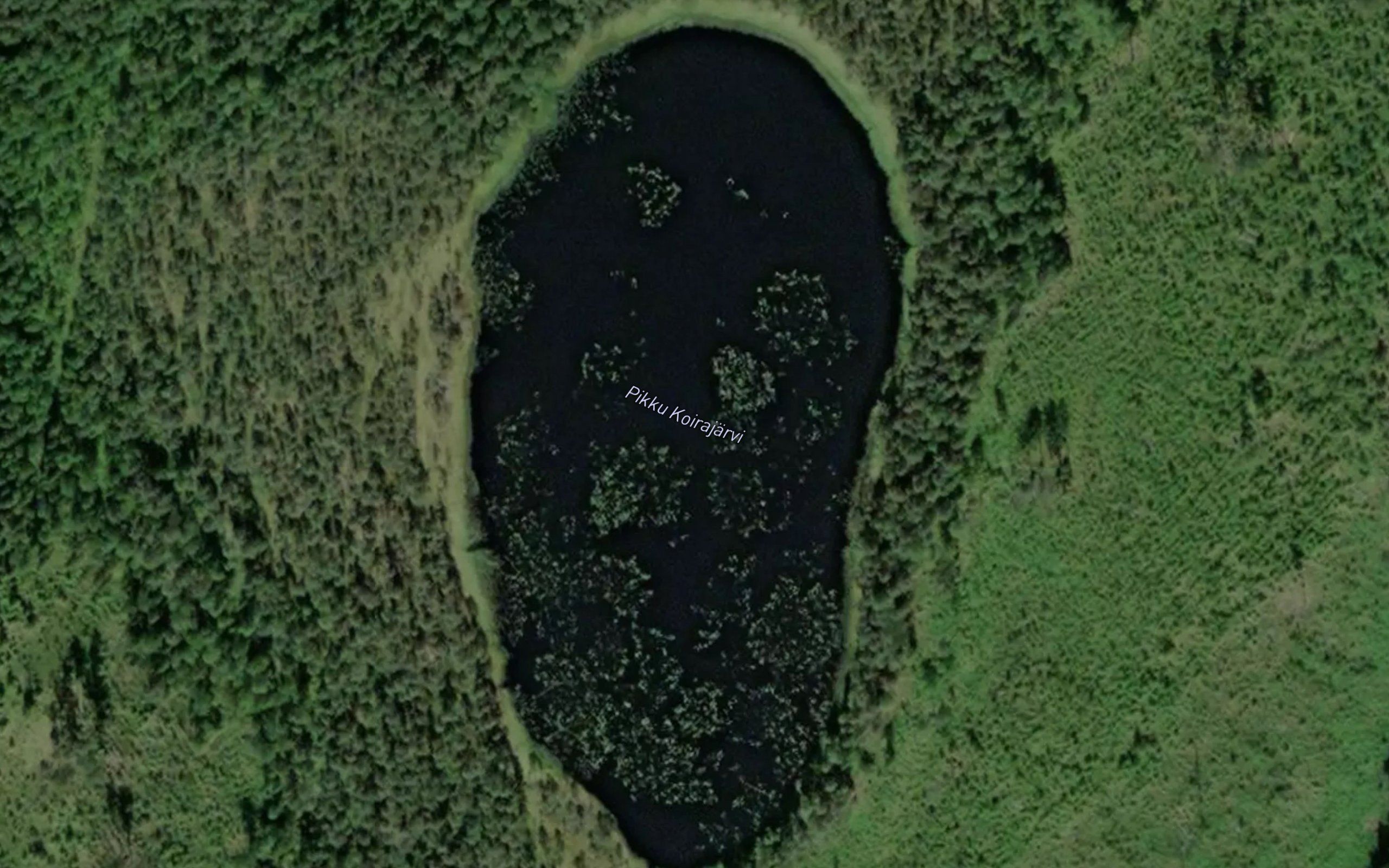 Pikku Koirajarvi