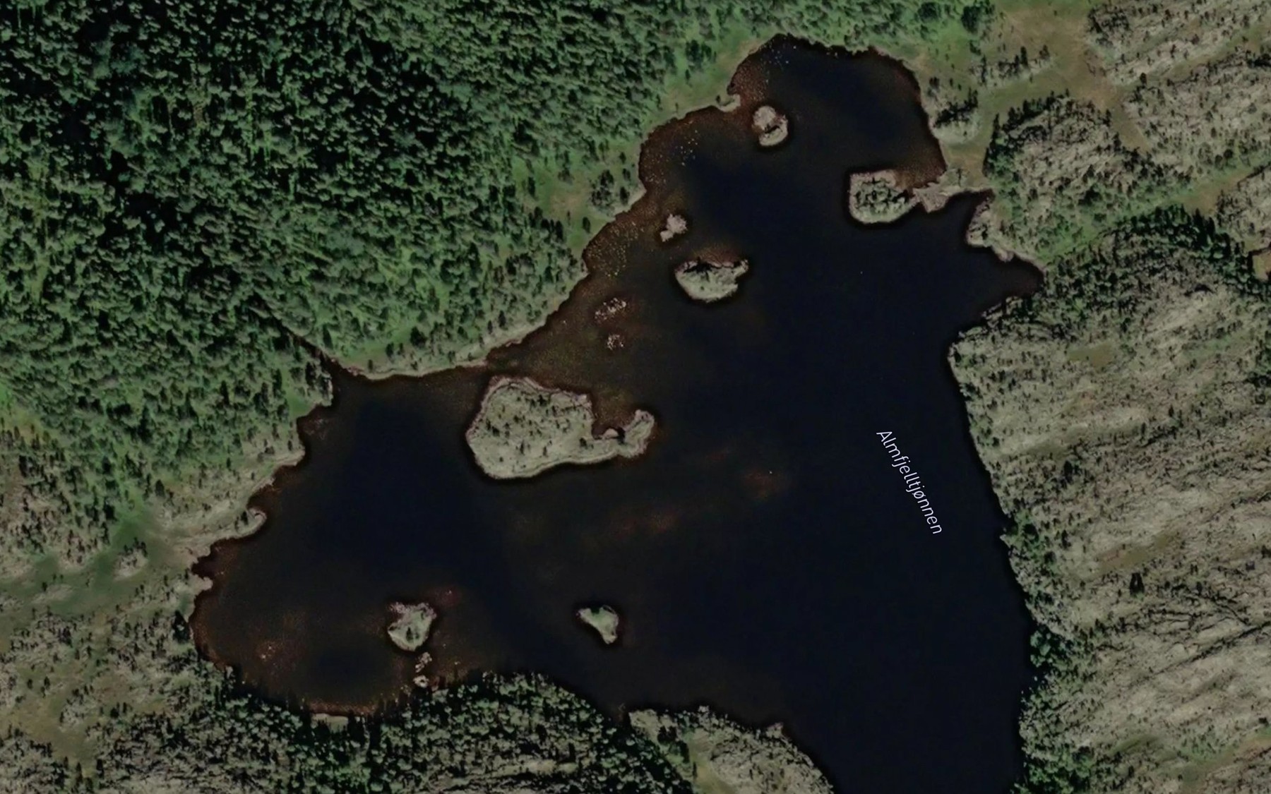 Satellite map of the Almfjelltjornen