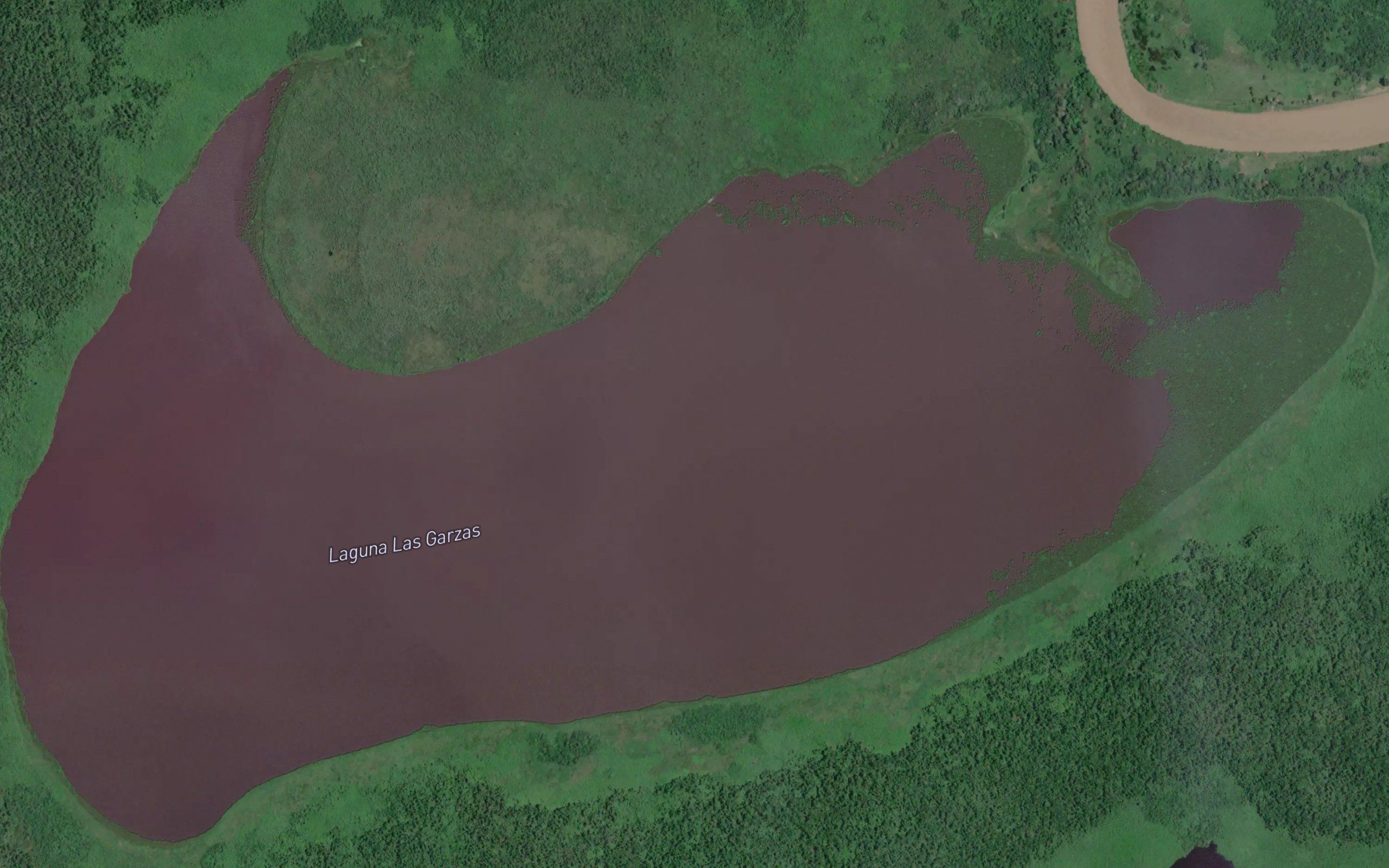 Lago Las Garzas