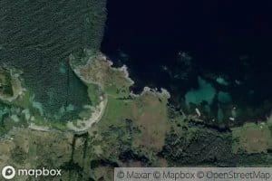 Kobbevika