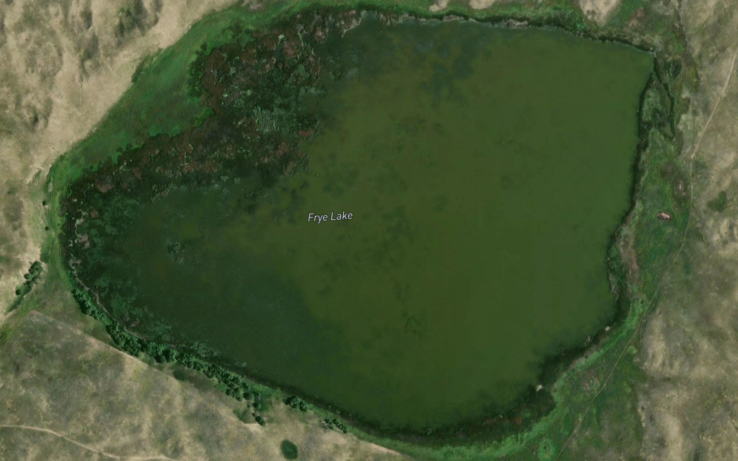 Frye Lake