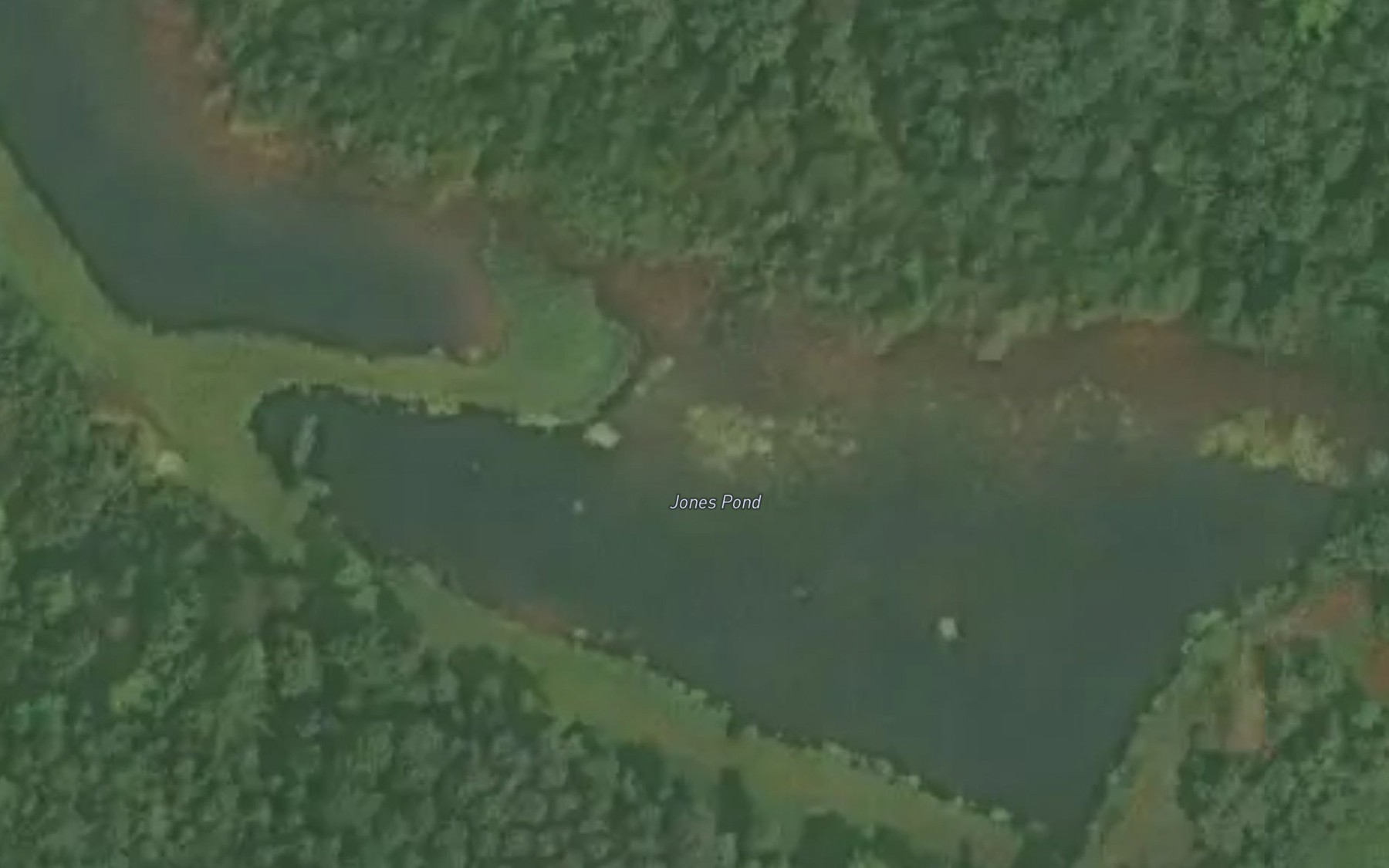 Satellite map of the Jones Pond