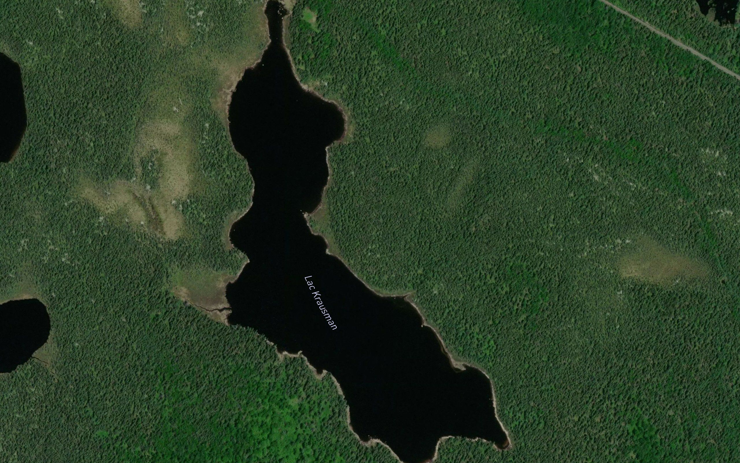 Lac Krausman