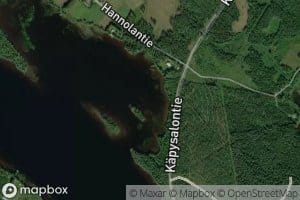 Sammakkolahti
