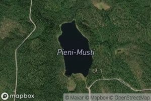 Pieni-Musti