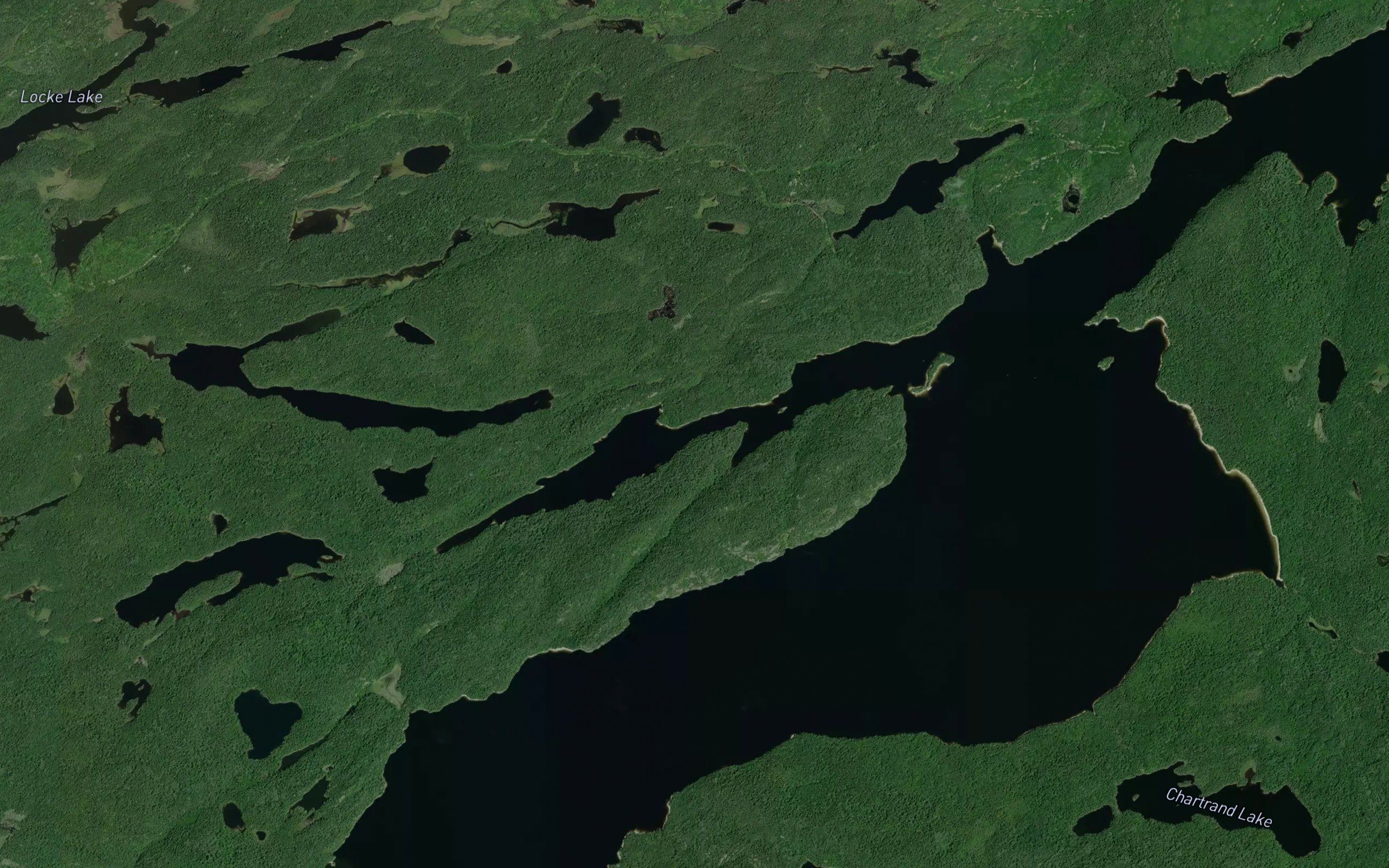 Log Bay