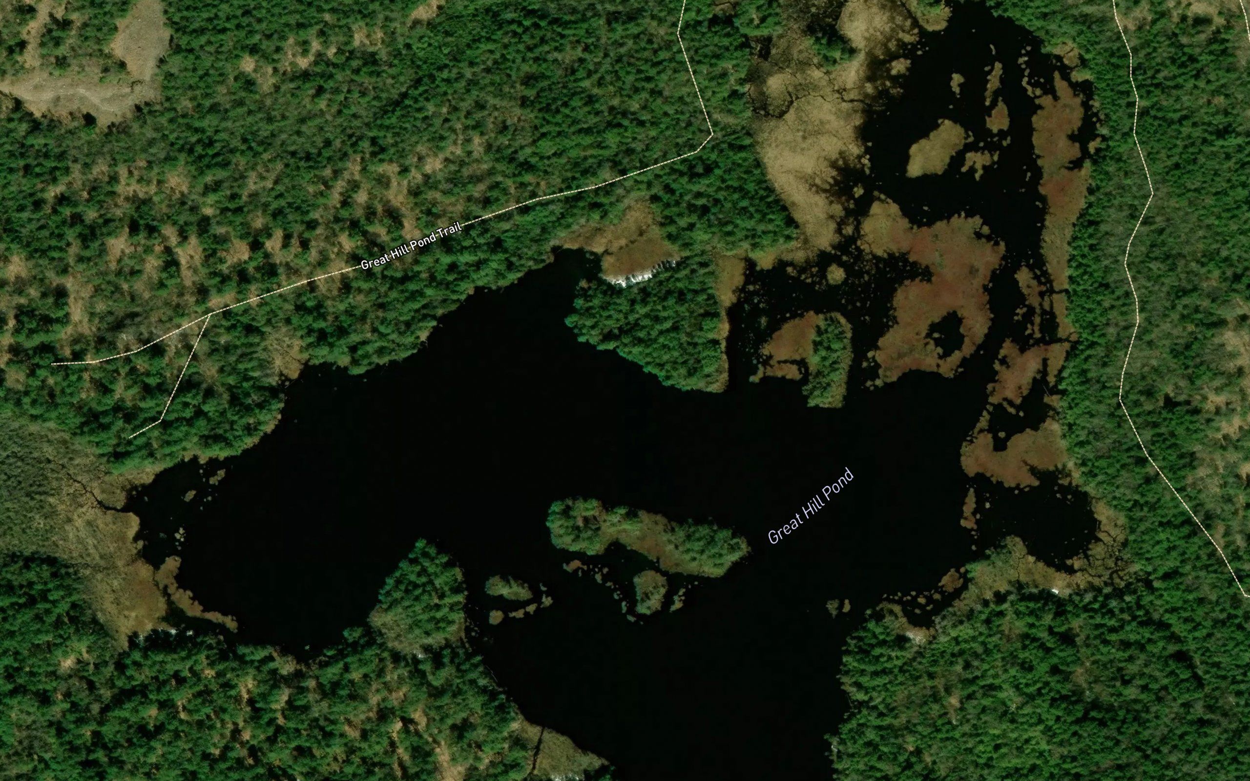 Great Hill Pond