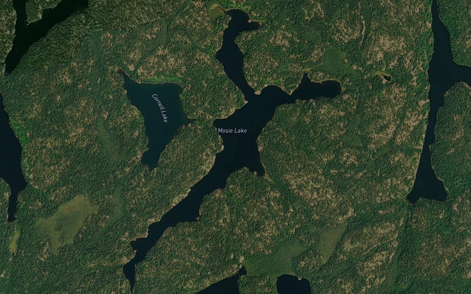 Satellite map of the Mosie Lake