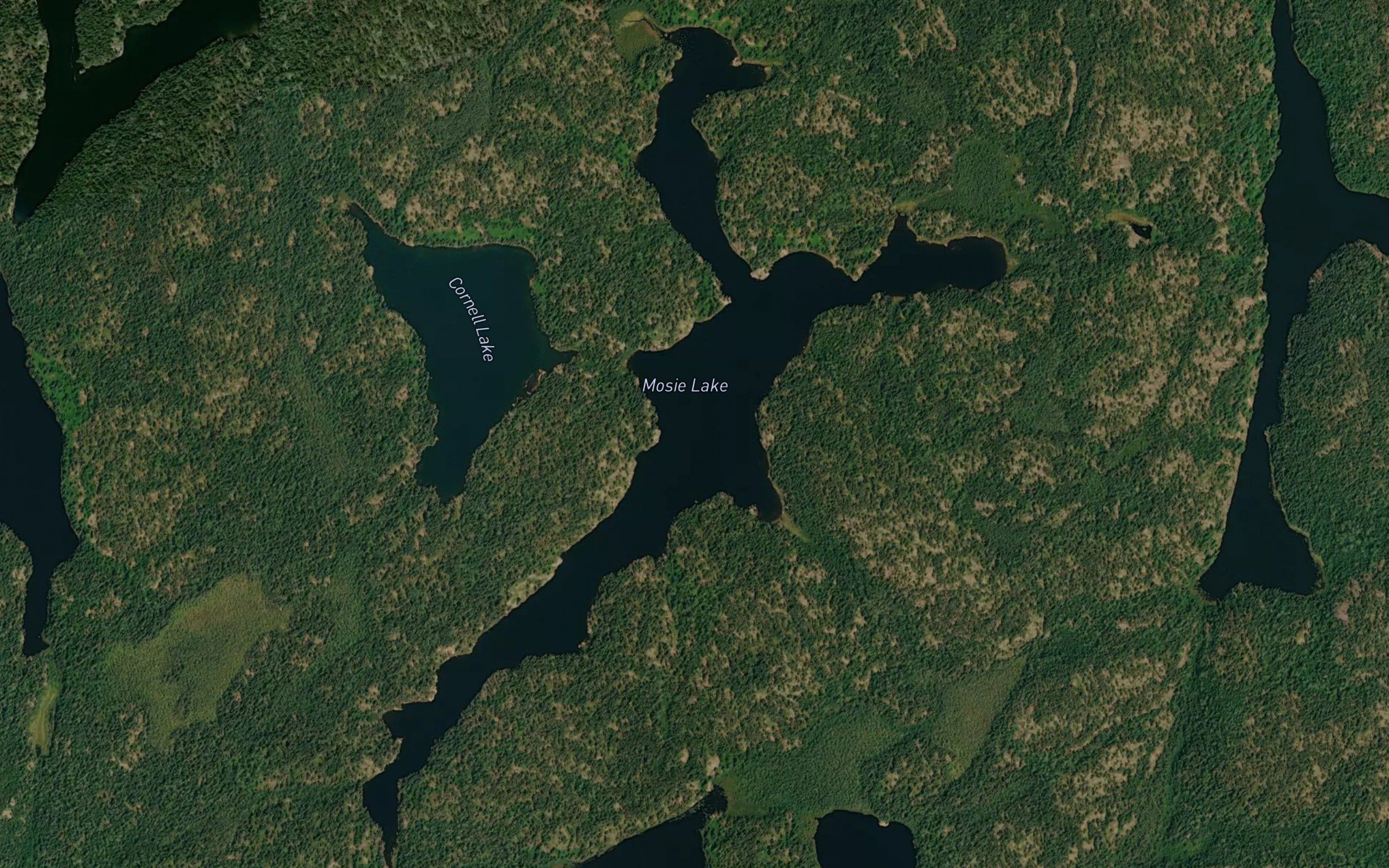 Mosie Lake
