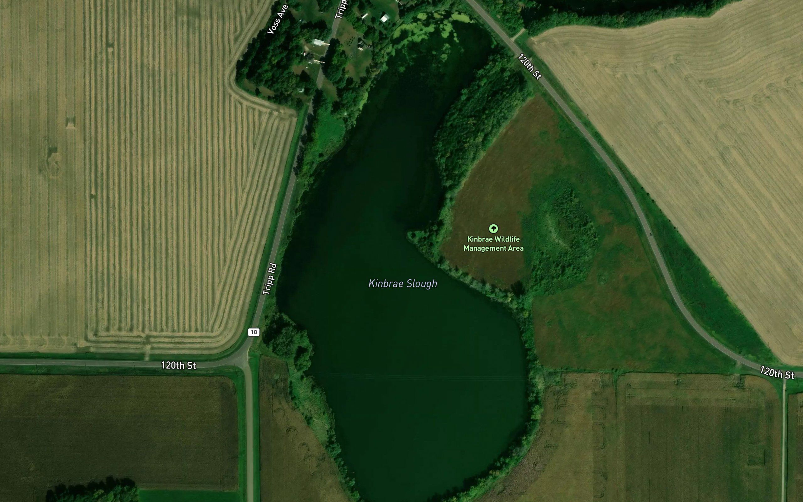 Kinbrae Slough