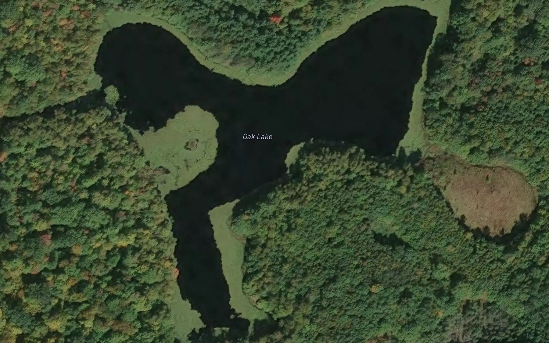 Satellite map of the Oak Lake