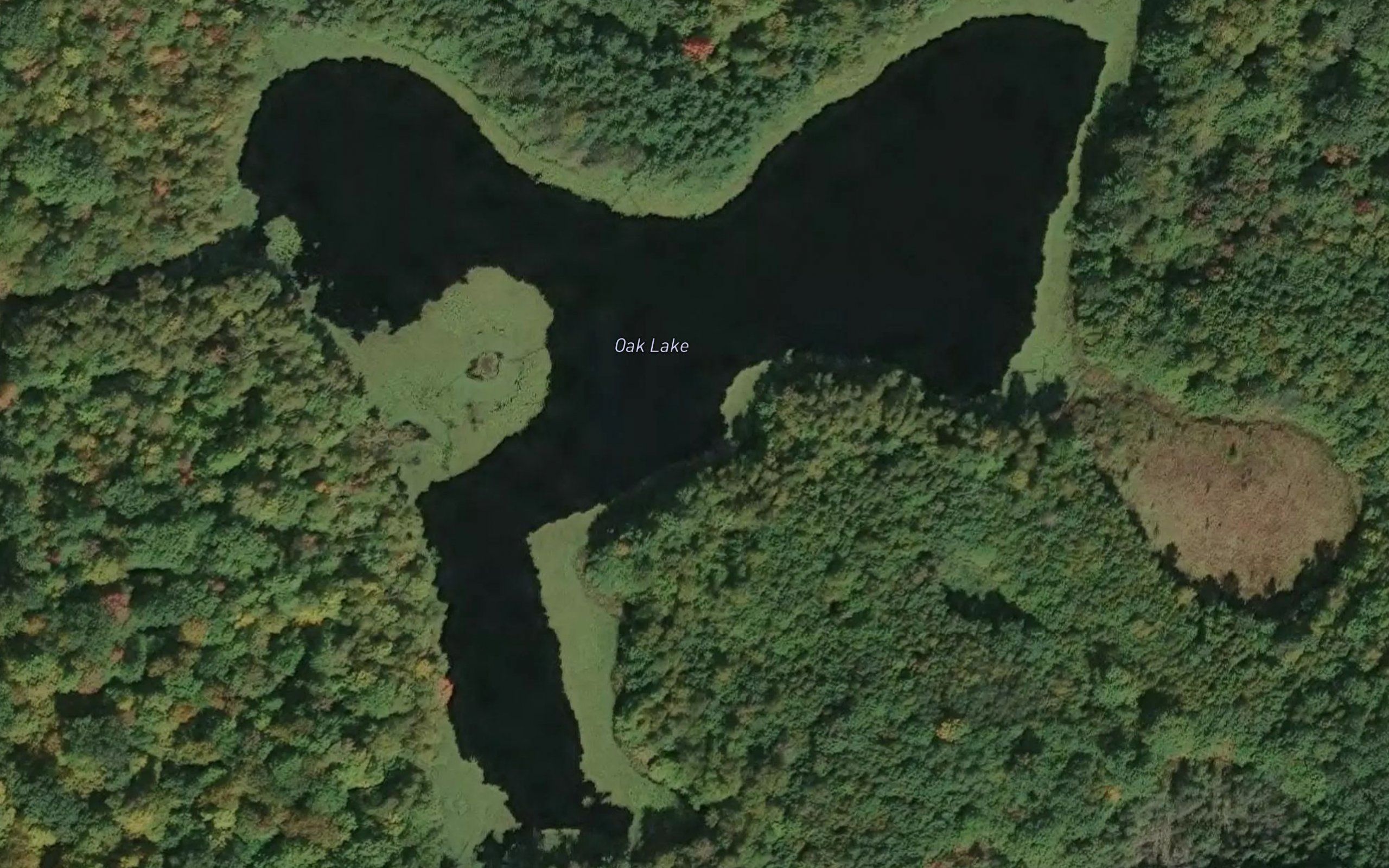 Oak Lake