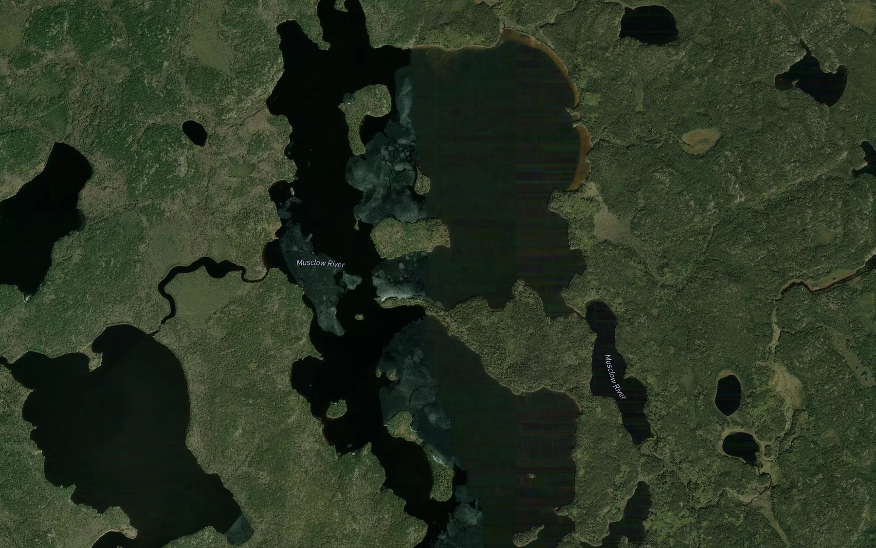 Satellite map of the Job Lake