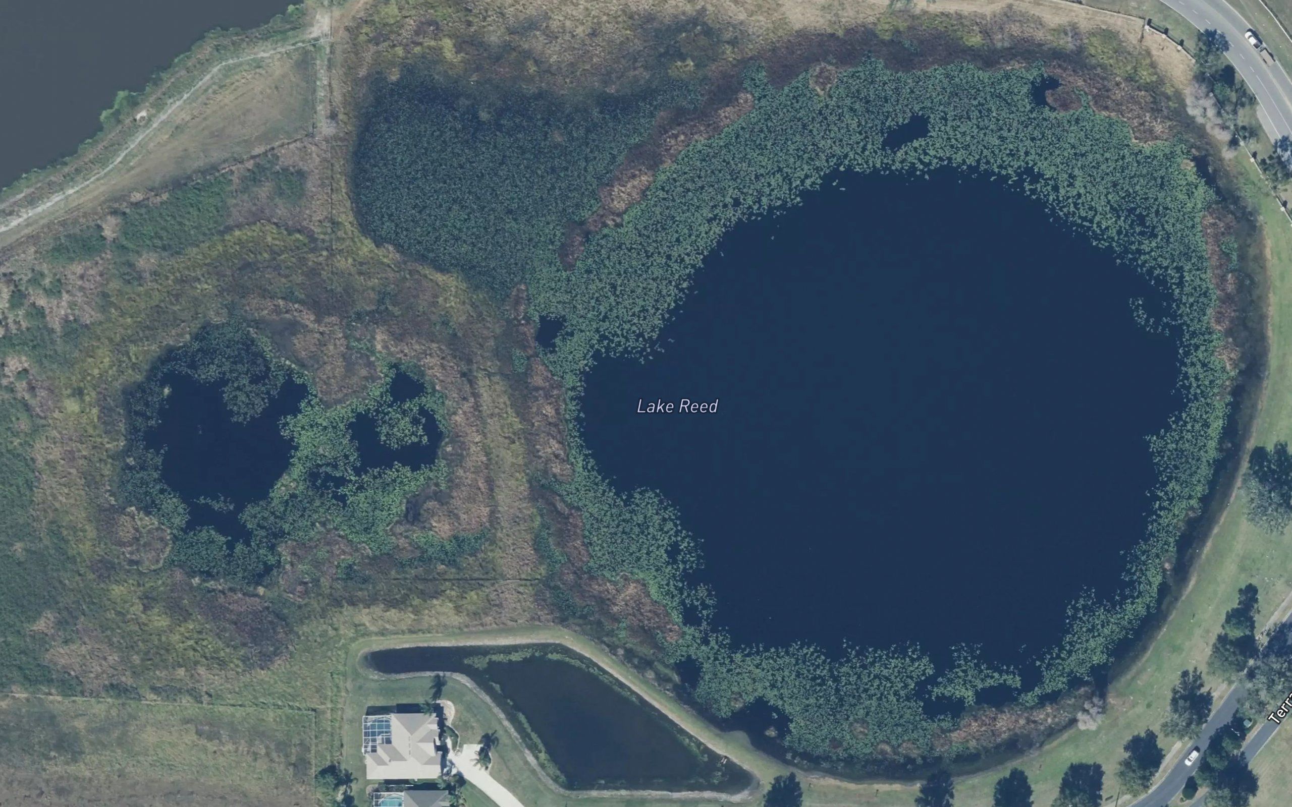 Lake Reed