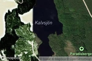 Kalvsjon