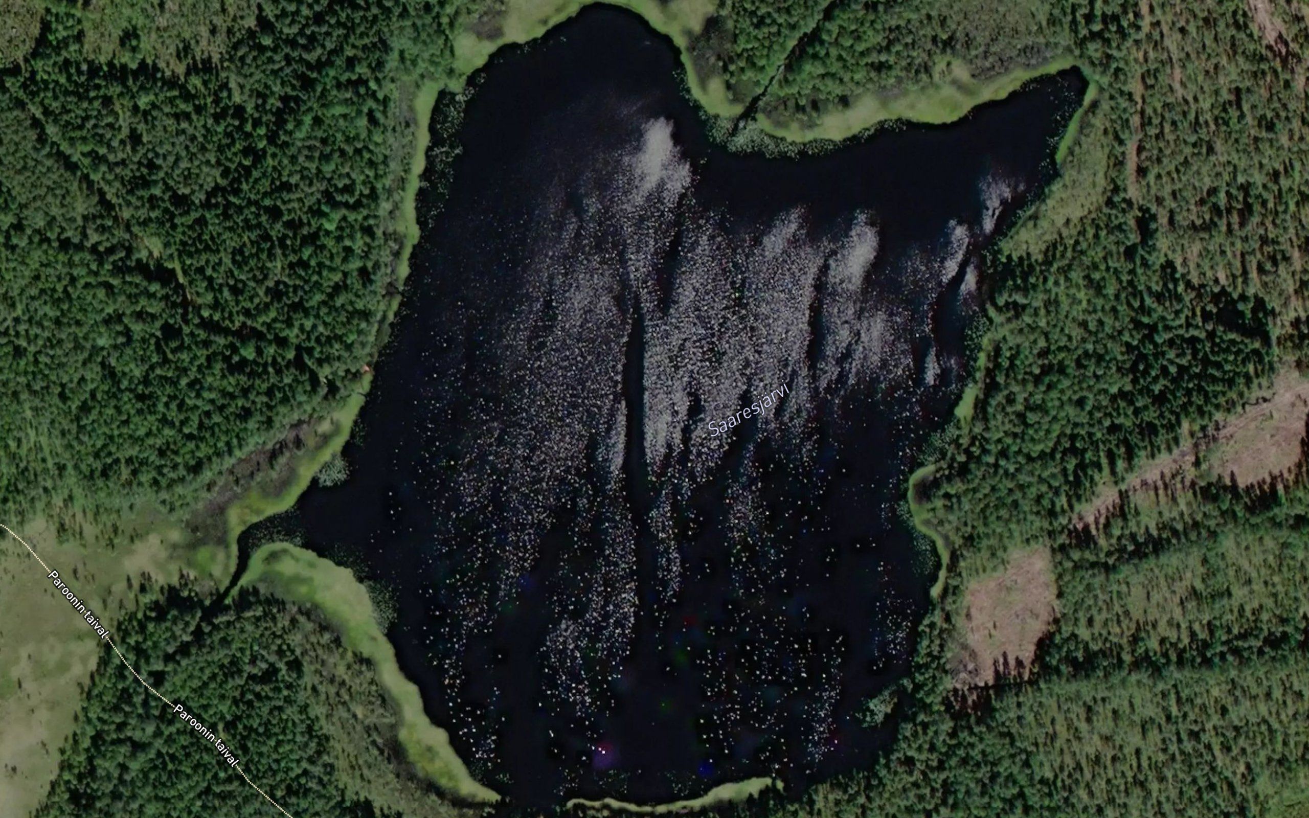 Saaresjarvi