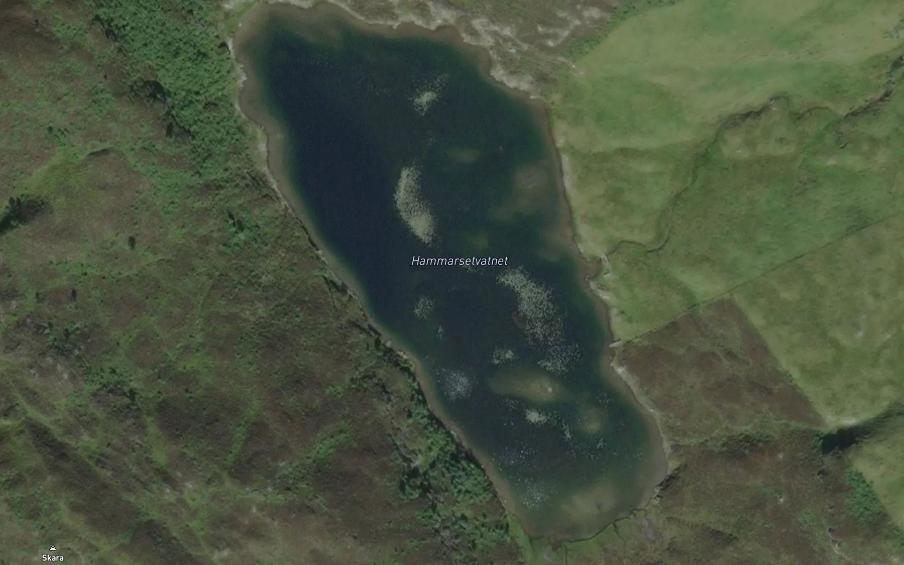 Satellite map of the Hammersetvatnet