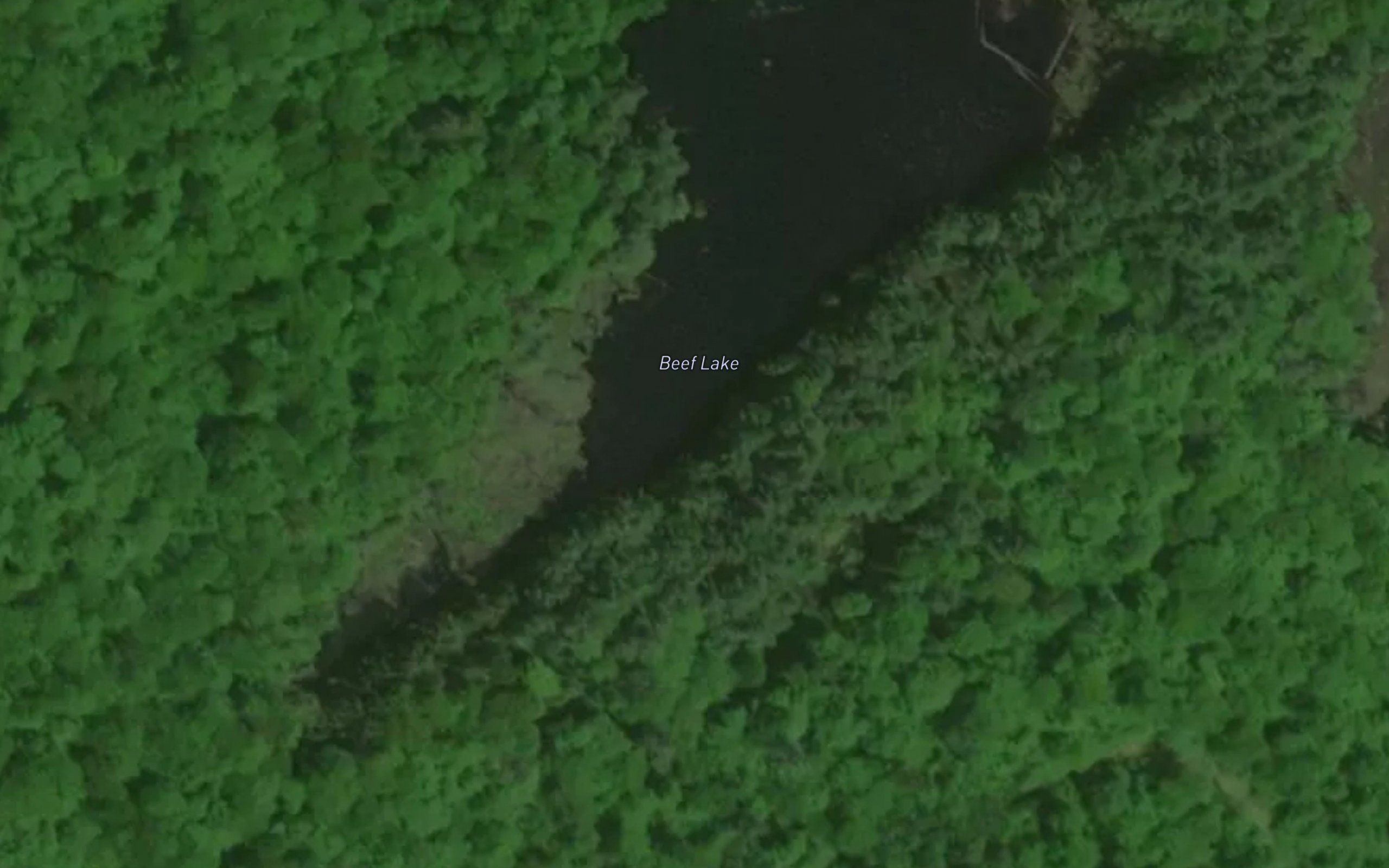 Beef Lake