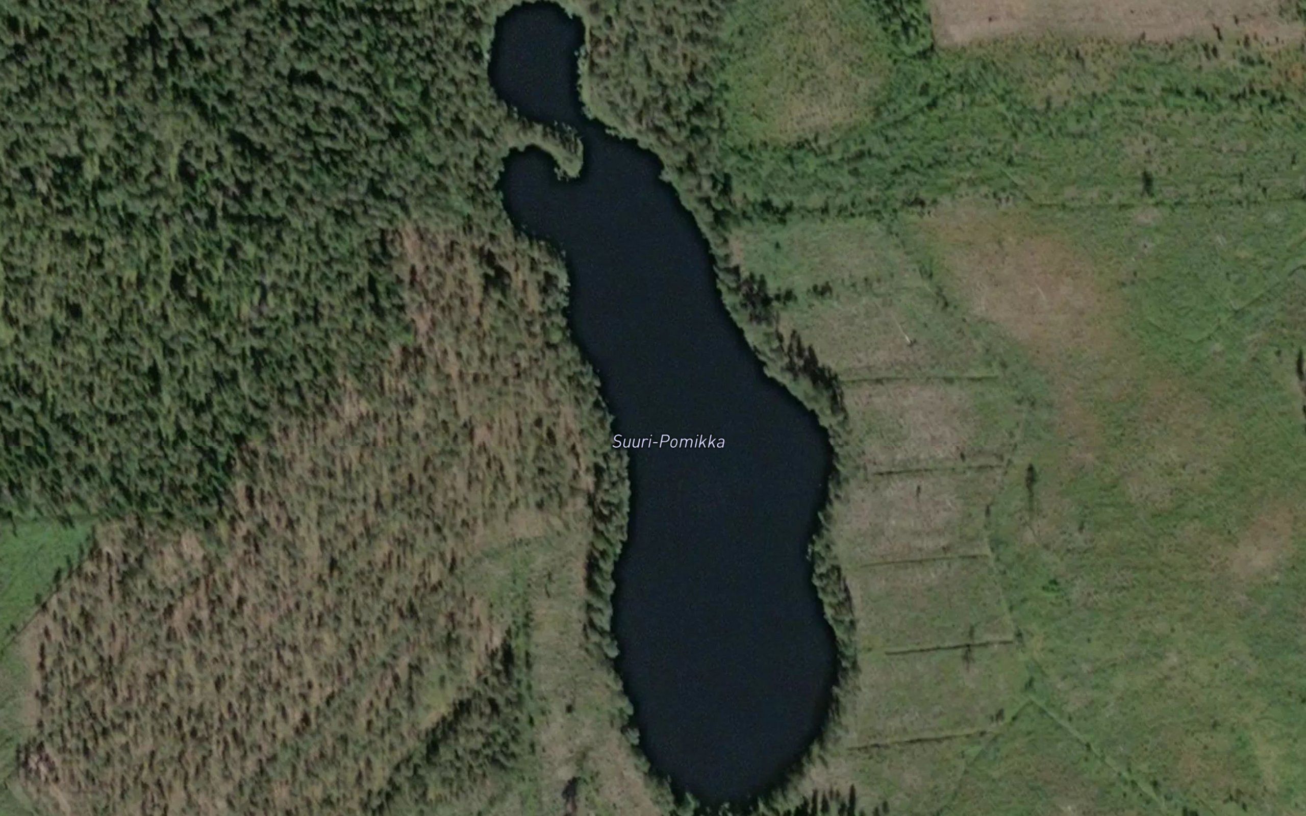 Suuri-Pomikka