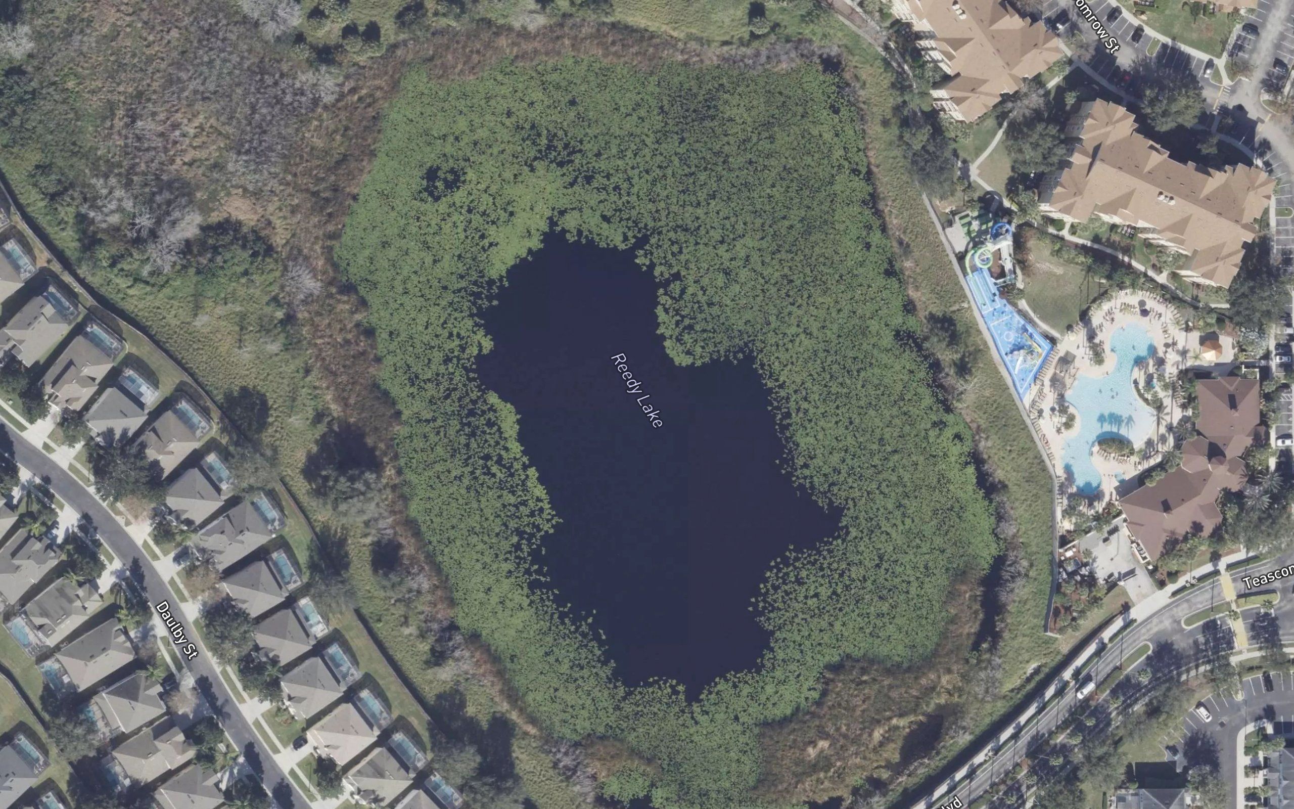 Reedy Lake