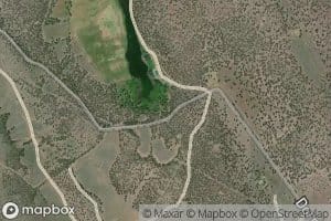 D Ranch Spring