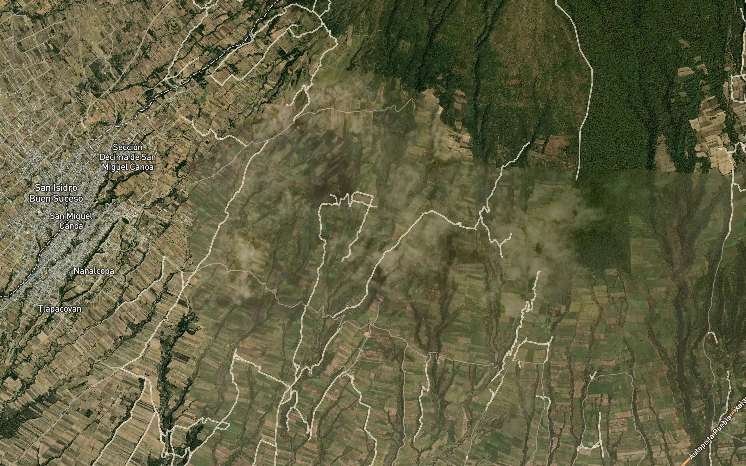 Gavillera