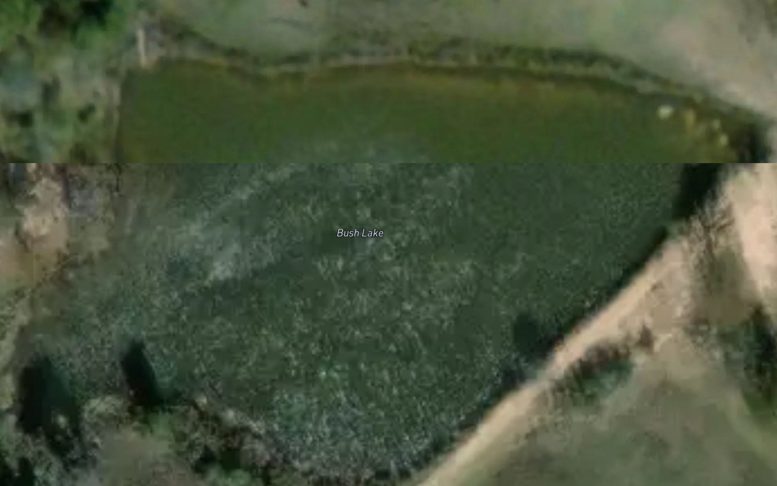 Bush Lake