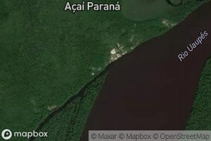Parana Acai