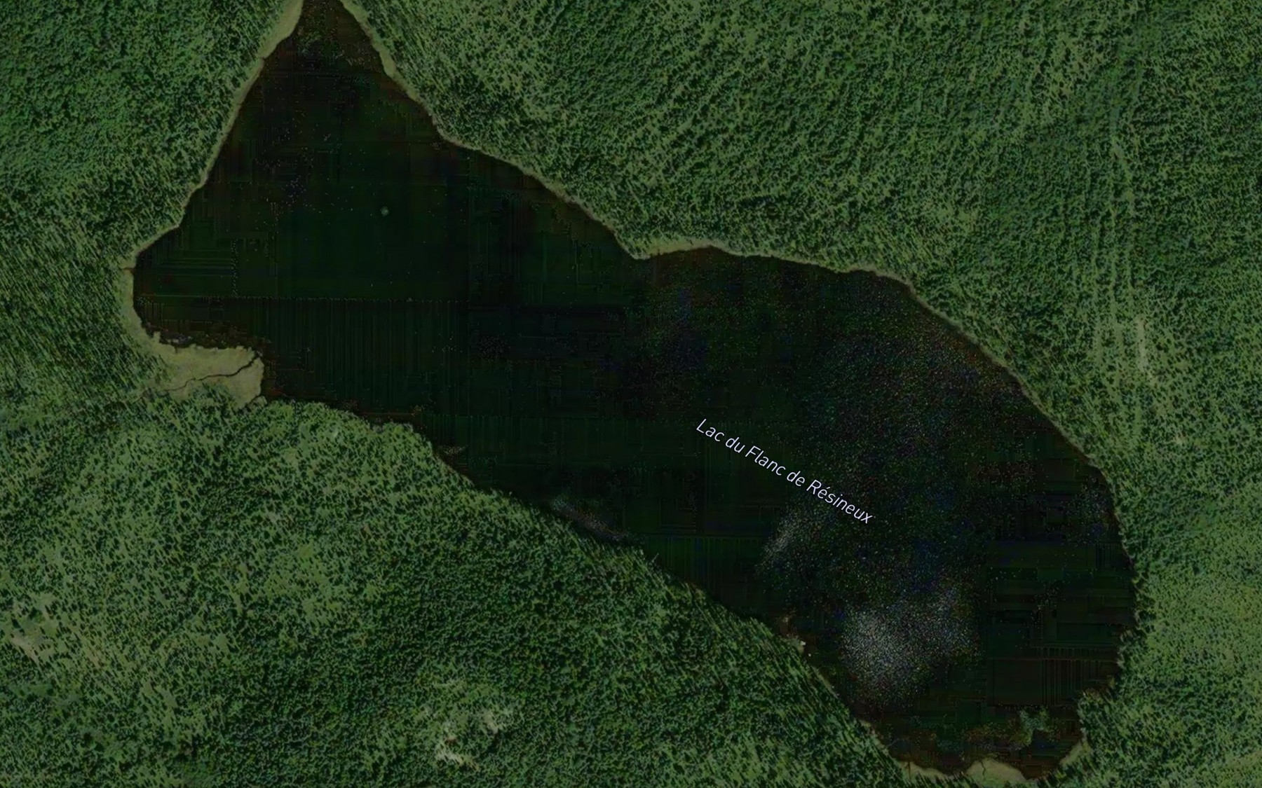 Satellite map of the Lac du Flanc de Resineux