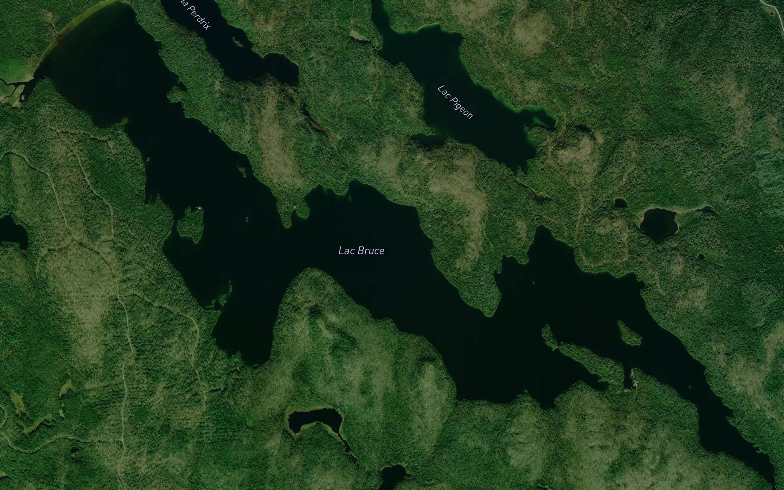 Lac Bruce