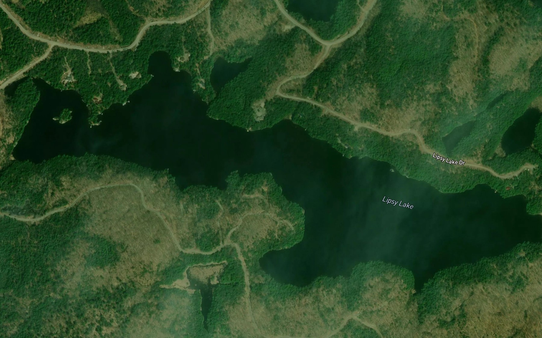 Satellite map of the Lipsy Lake