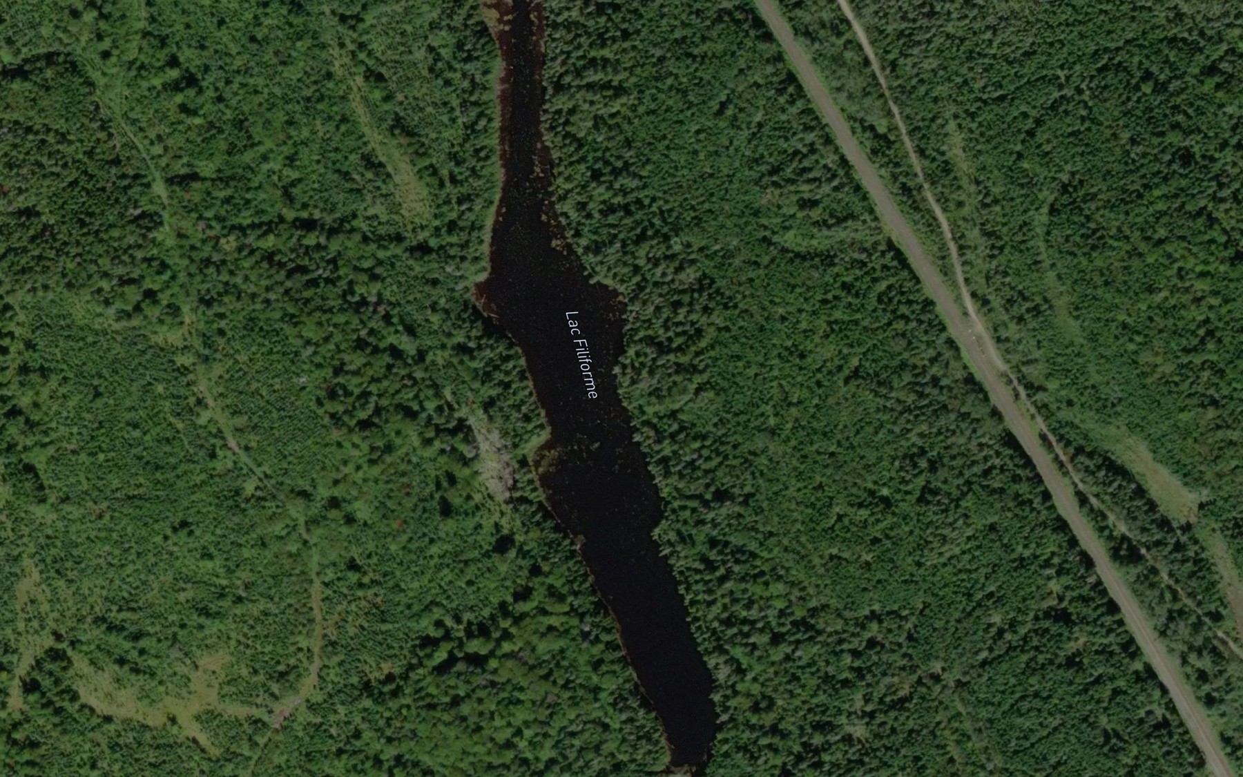 Satellite map of the Lac Filiforme