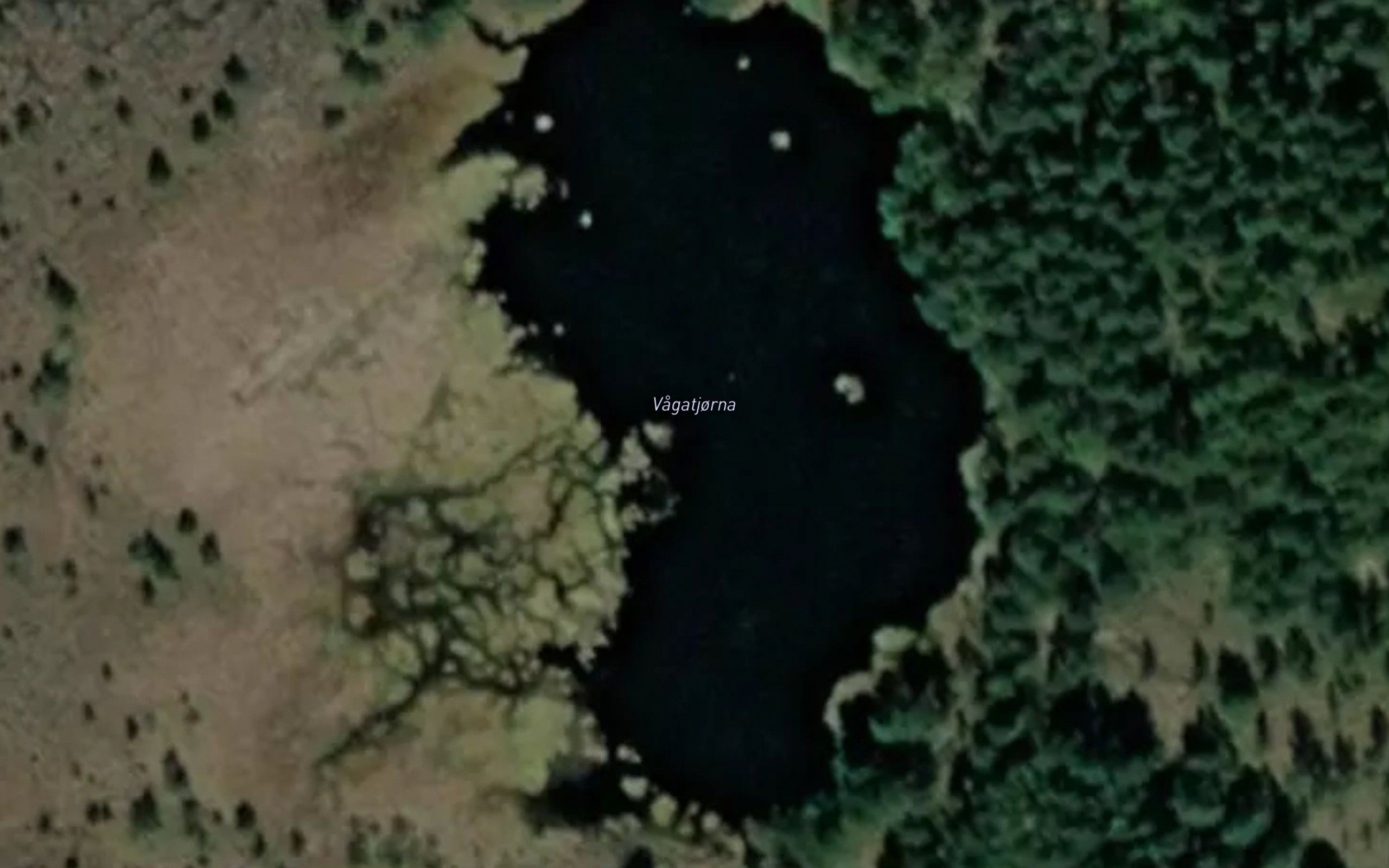 Vagatjonna