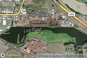Log Pond