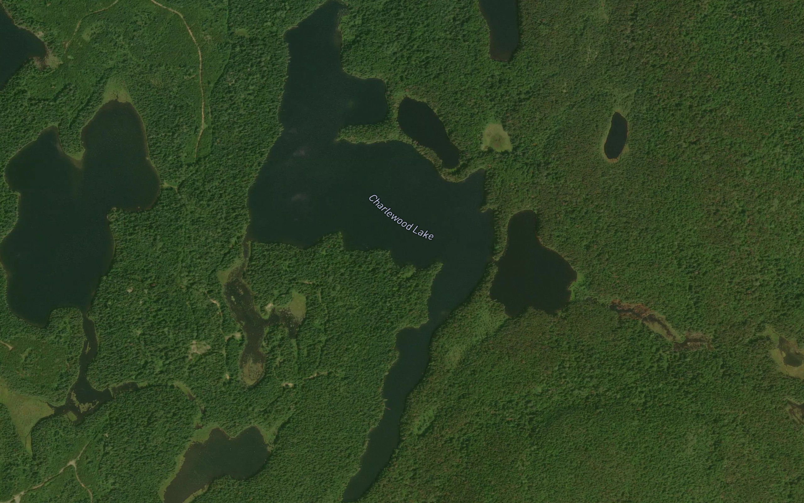 Charlewood Lake