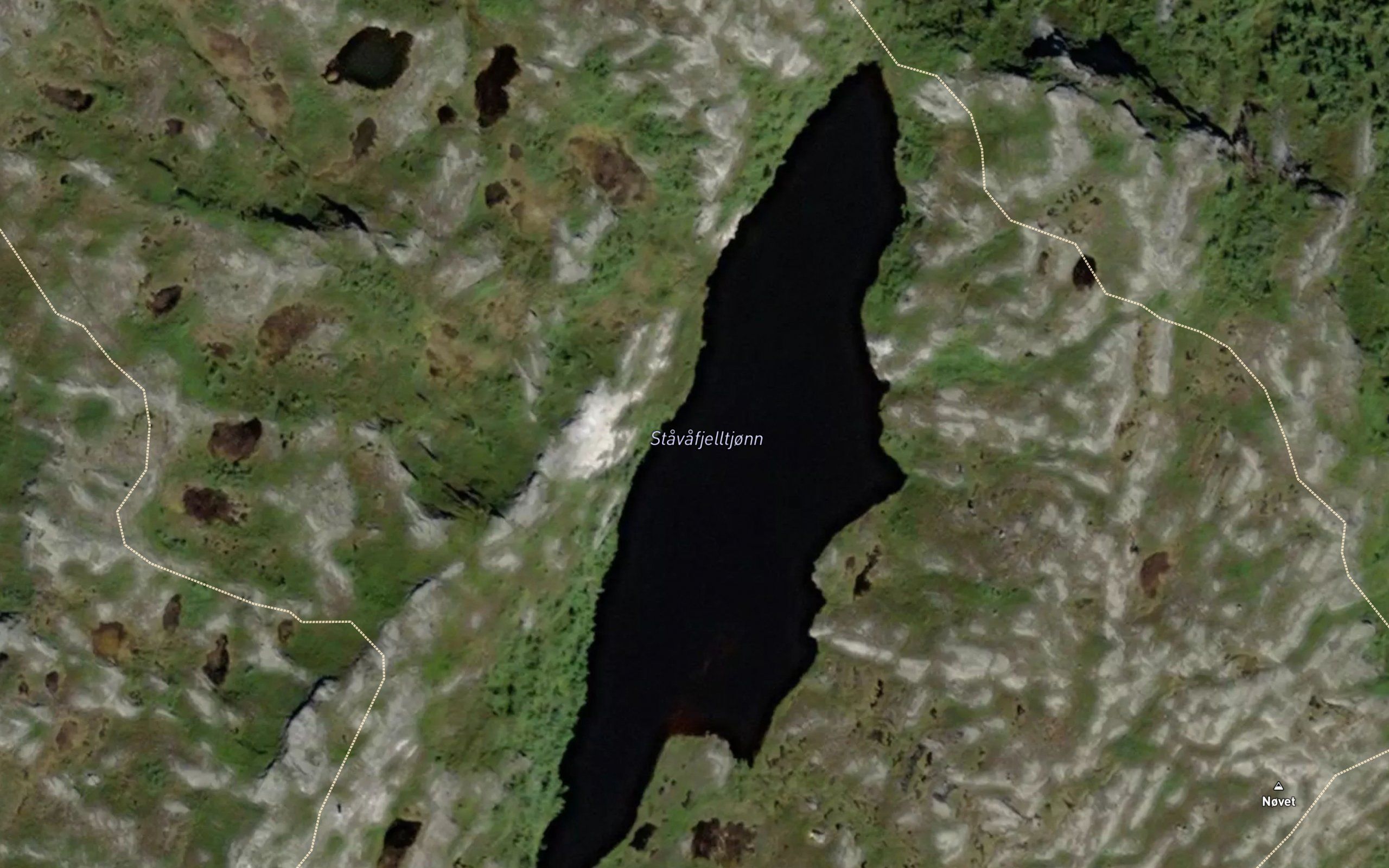 Stavafjelltjorni