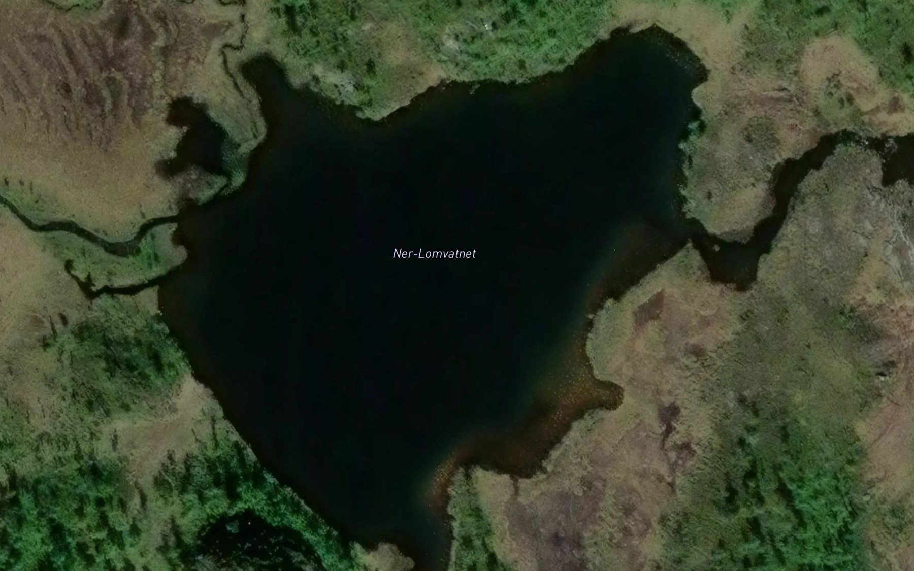 Satellite map of the Lomvatnan,nedre