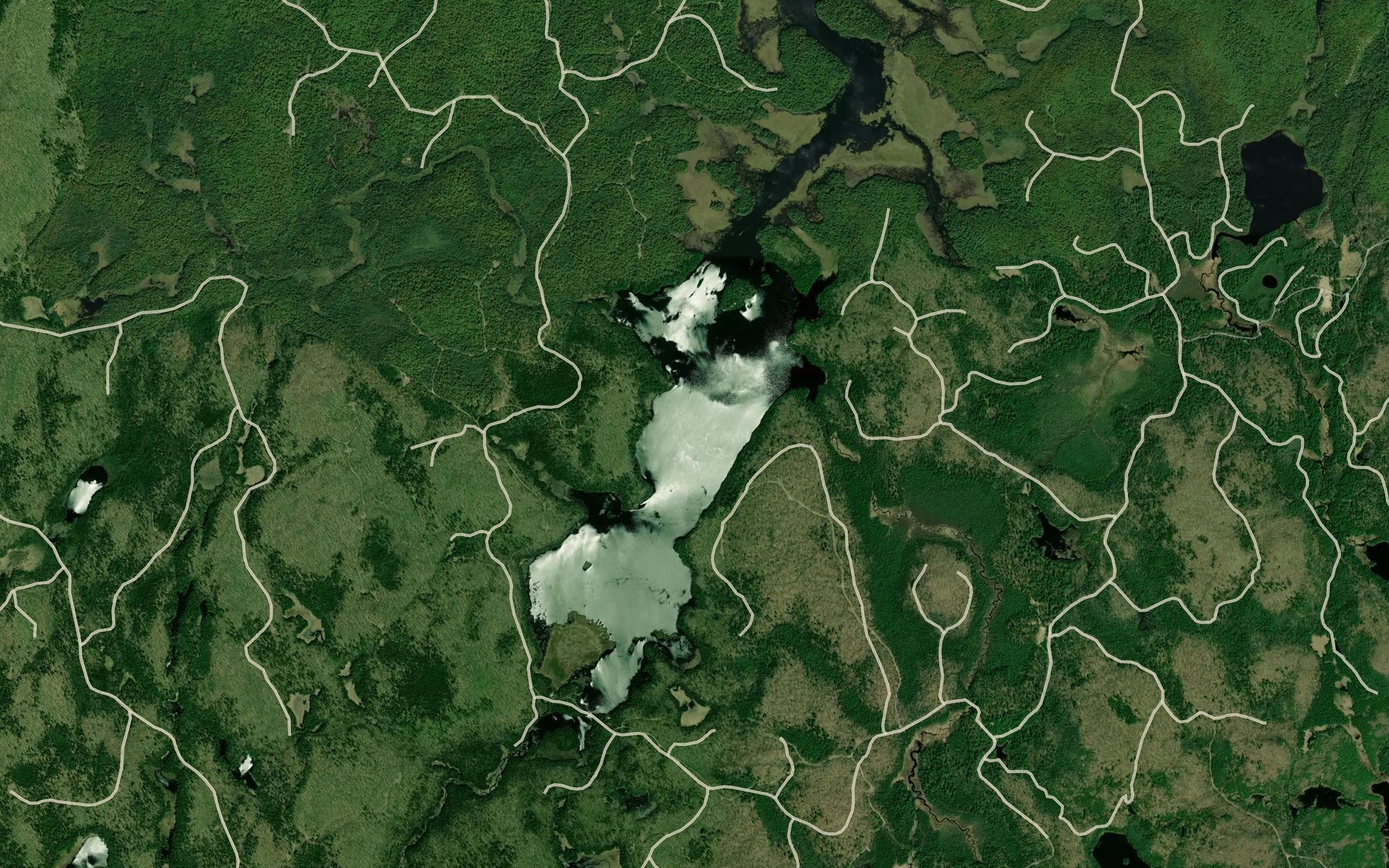 Satellite map of the Drizzle Lake