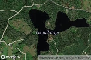Haukilampi