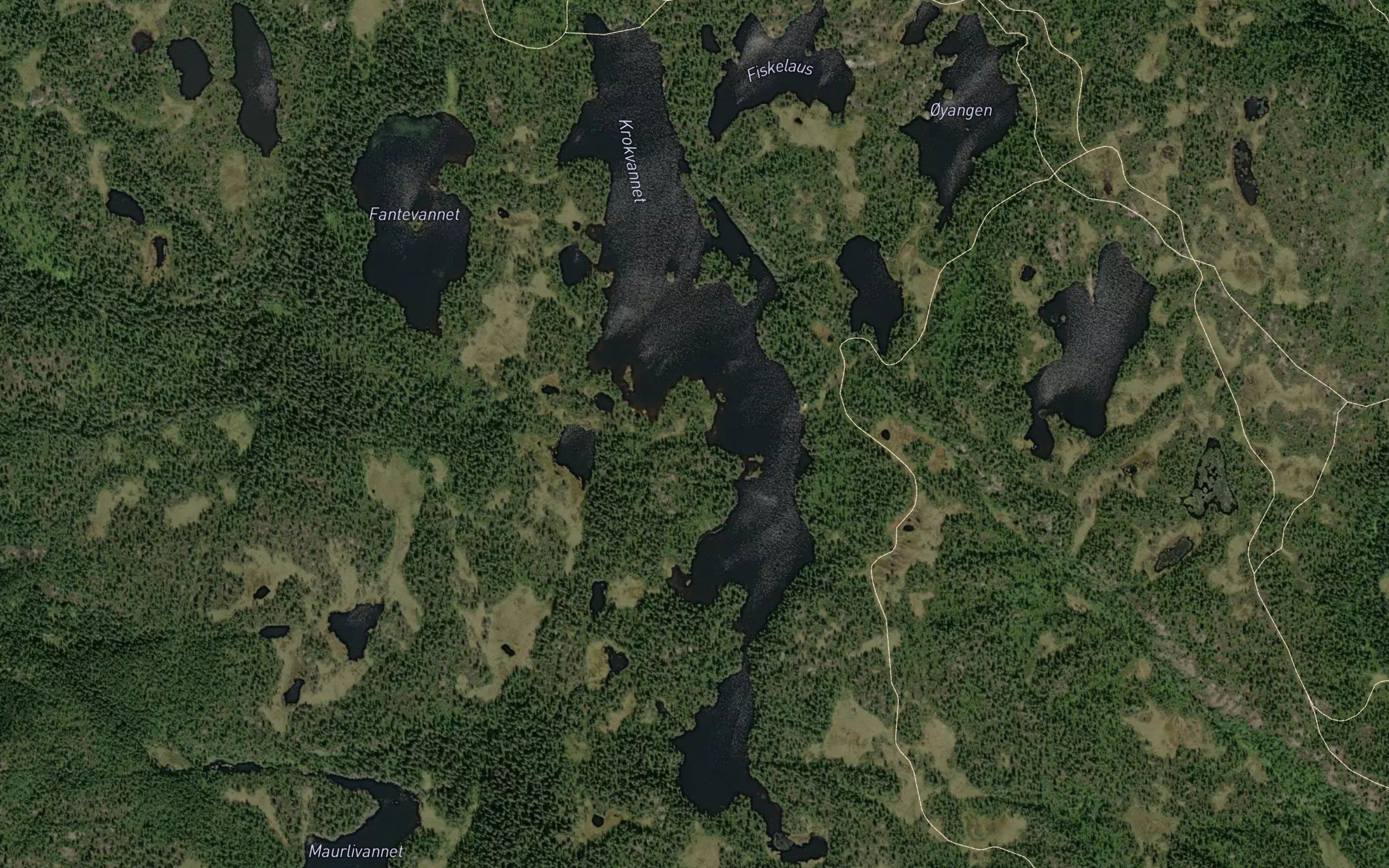 Krokvannet