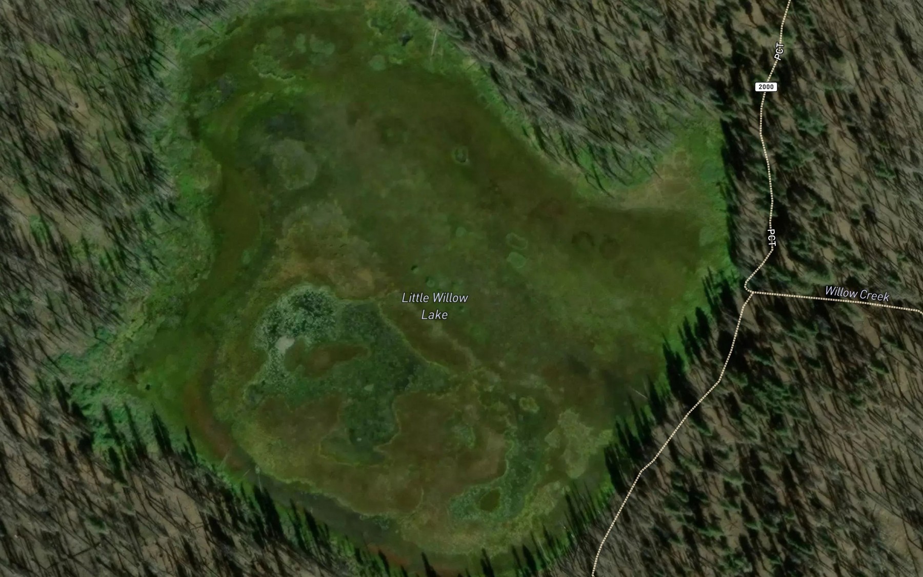 Satellite map of the Little Willow Lake