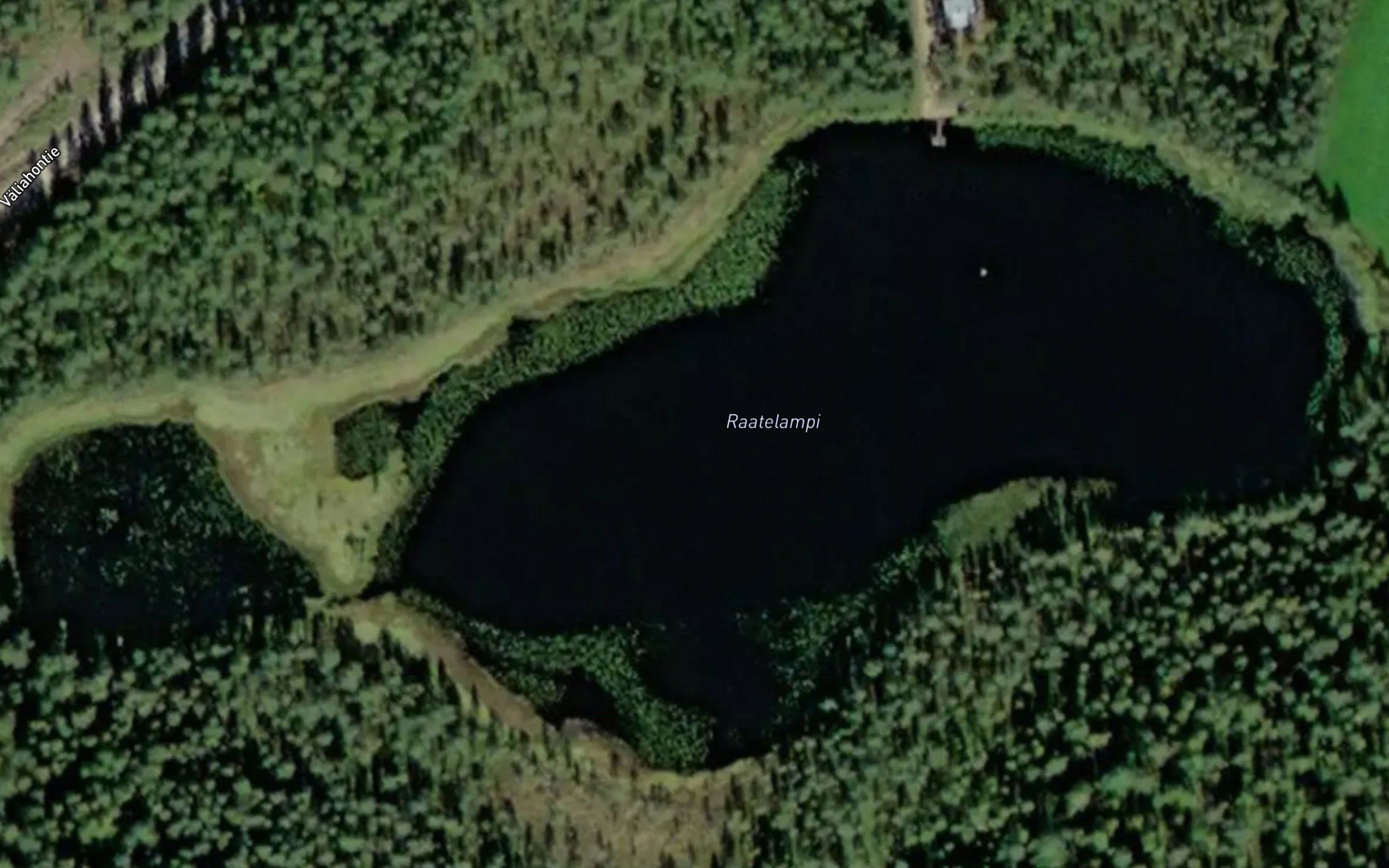 Raatelampi